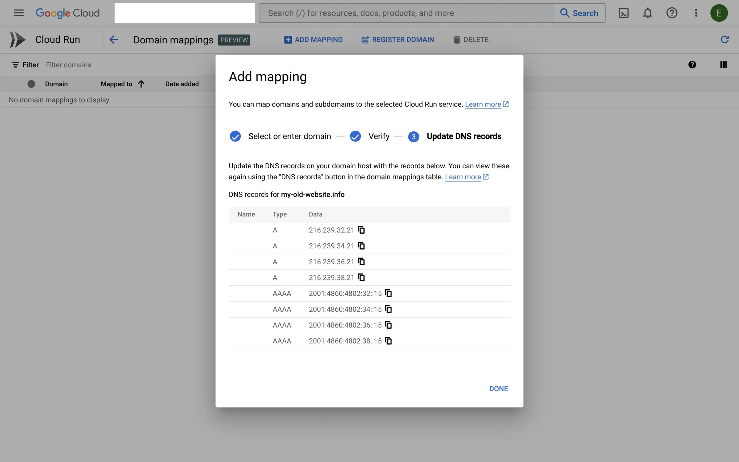 Cloud Run domain DNS entries