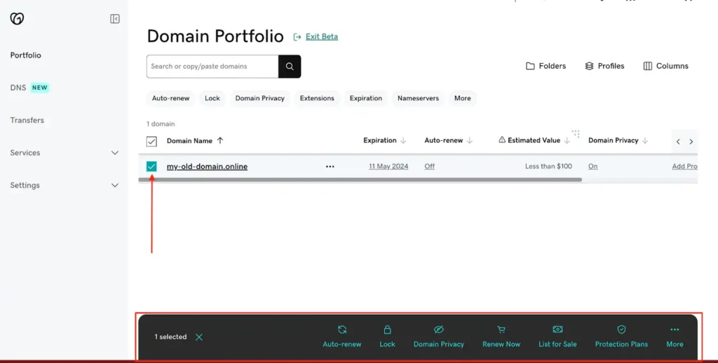 GoDaddy domain portfolio with the selected domain