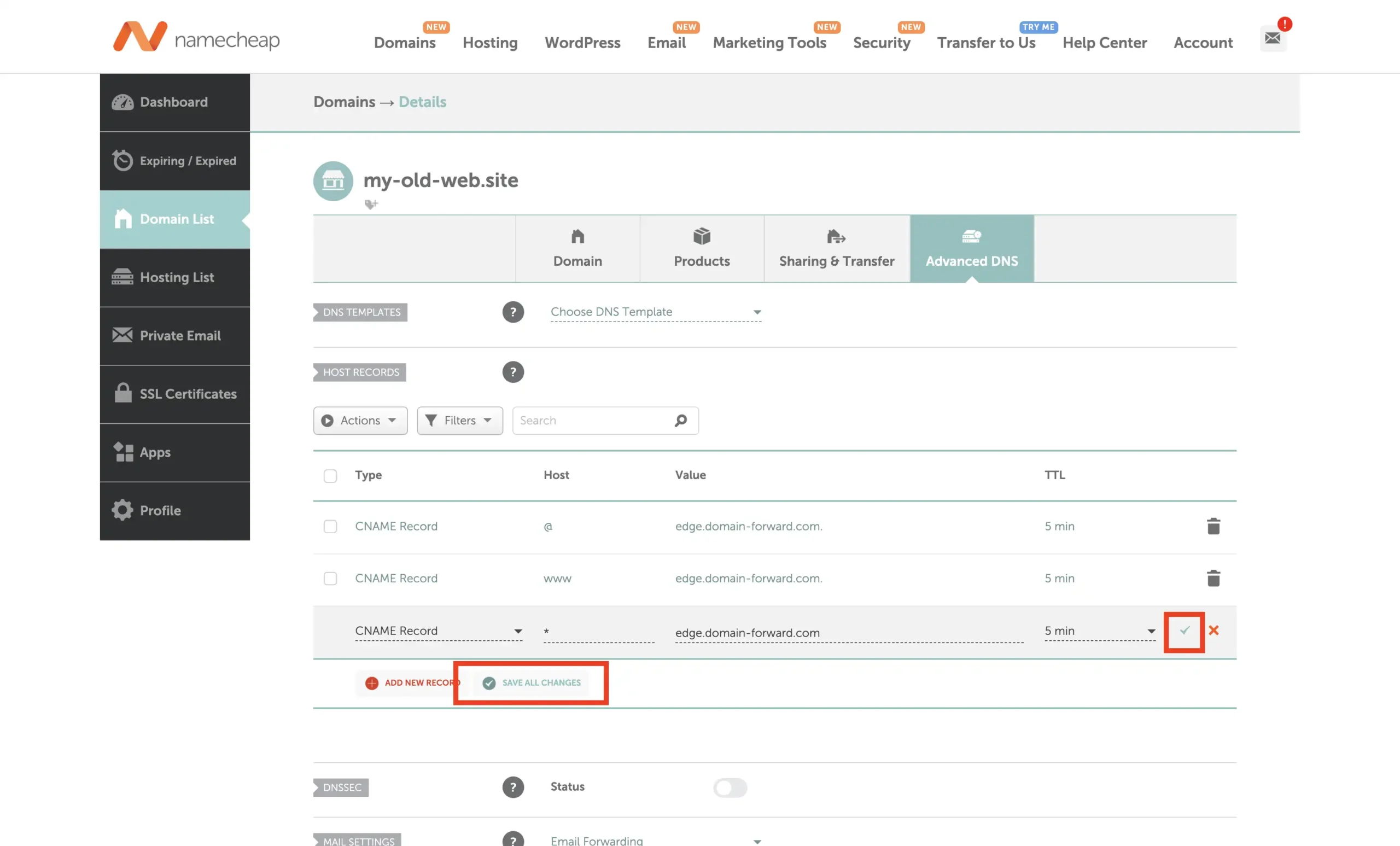 Namecheap wildcard redirect configured with the domain forward DNS entry