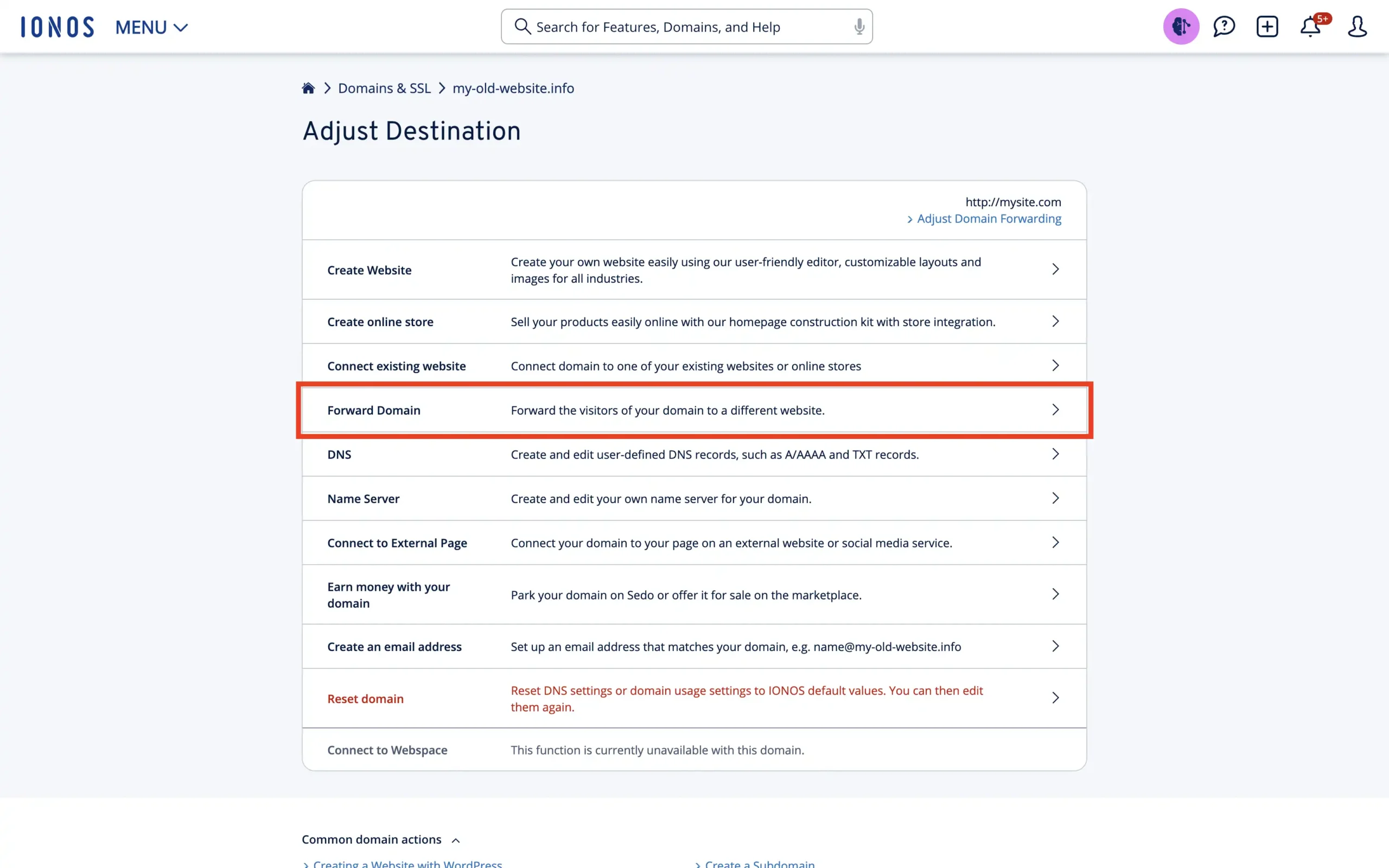 IONOS domain - "Adjust Destination" page where we choose "Forward Domain" to configure the redirect