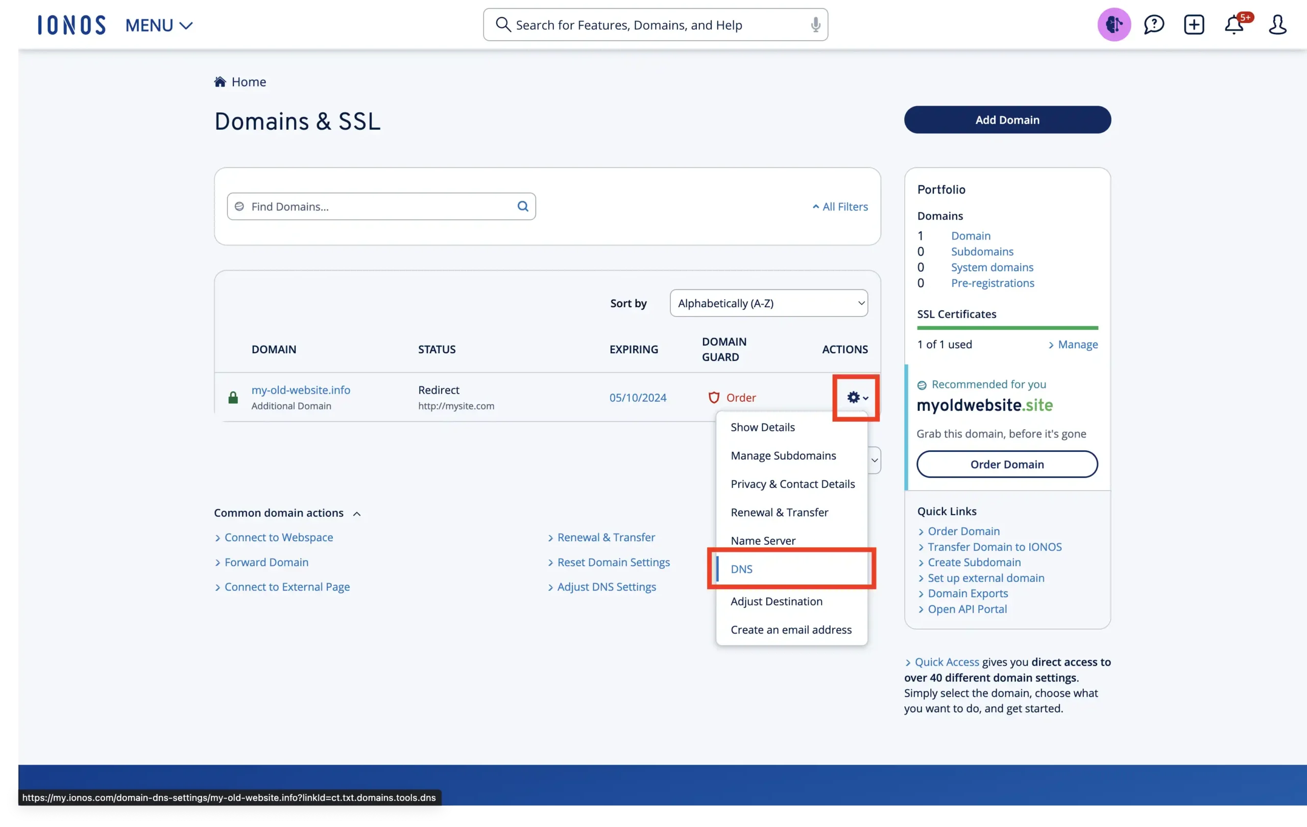 DNS record editing item in the domain menu in IONOS